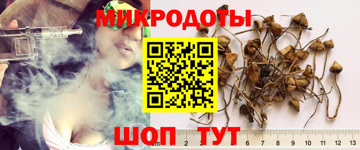 Галлюциногенные грибы ЛСД  Вход с VPN  Нерюнгри  Галлюциногенные грибы Psilocybe 